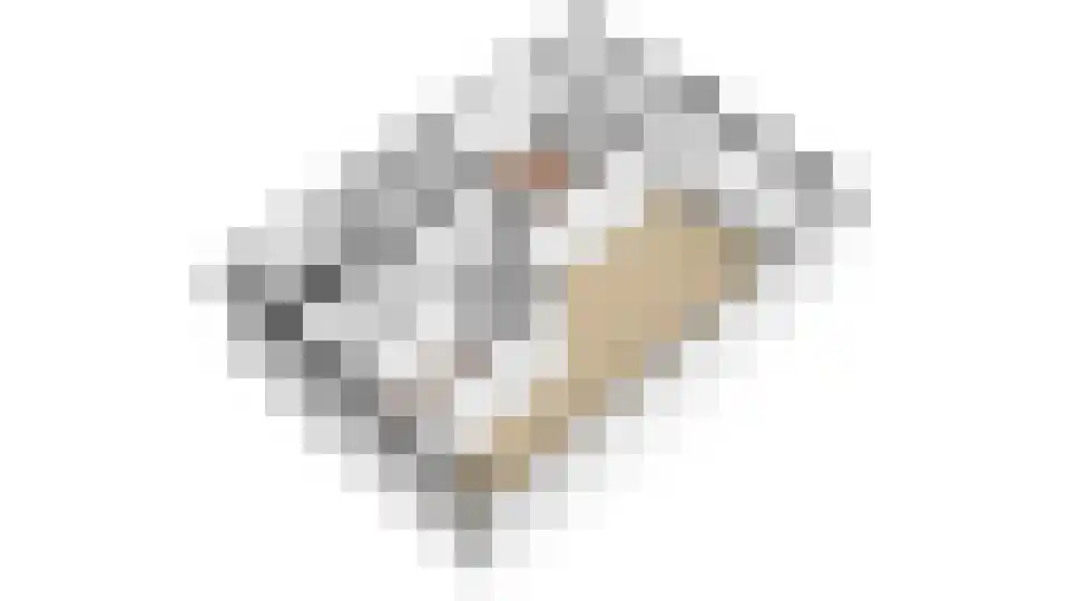 Ellen 43 Assen thumbnail 27