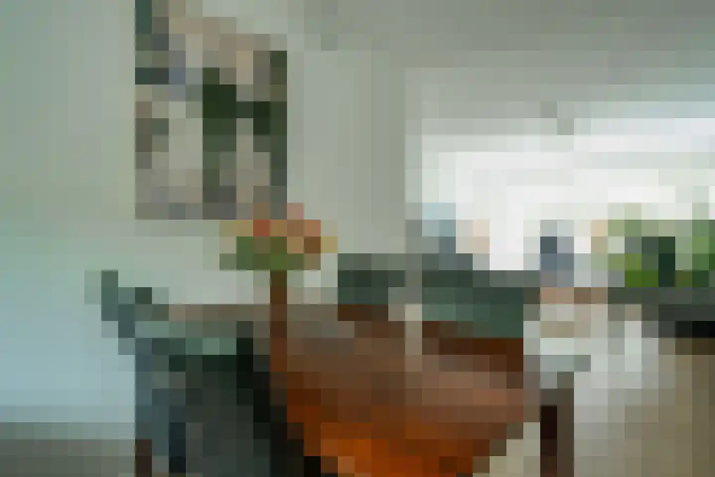Ellen 43 Assen thumbnail 6