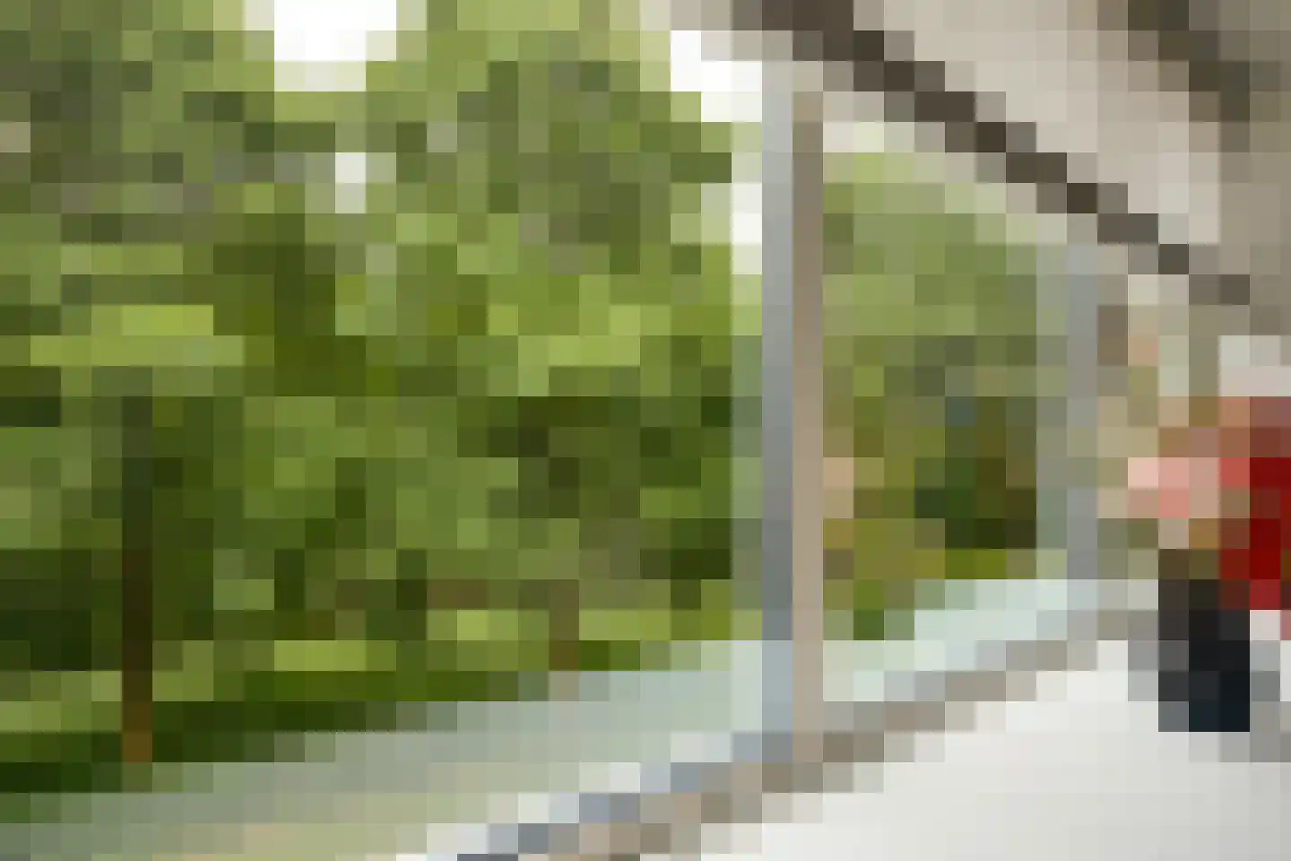 Ellen 43 Assen thumbnail 8