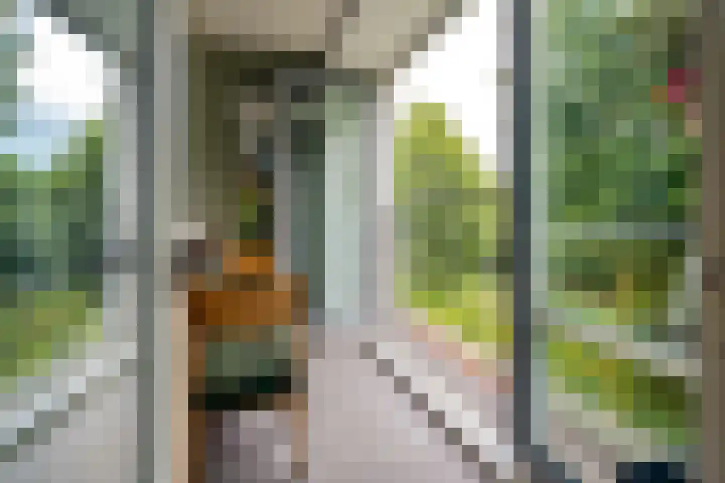 Ellen 43 Assen thumbnail 9