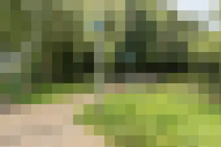 Ellen 47 Assen thumbnail 32