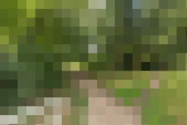 Ellen 47 Assen thumbnail 33