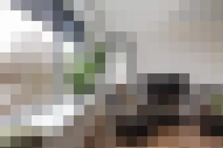 Ellen 69 Assen thumbnail 14