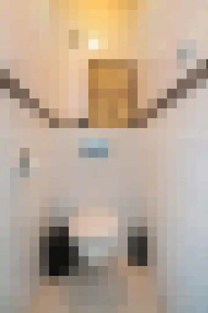 Ellen 69 Assen thumbnail 25
