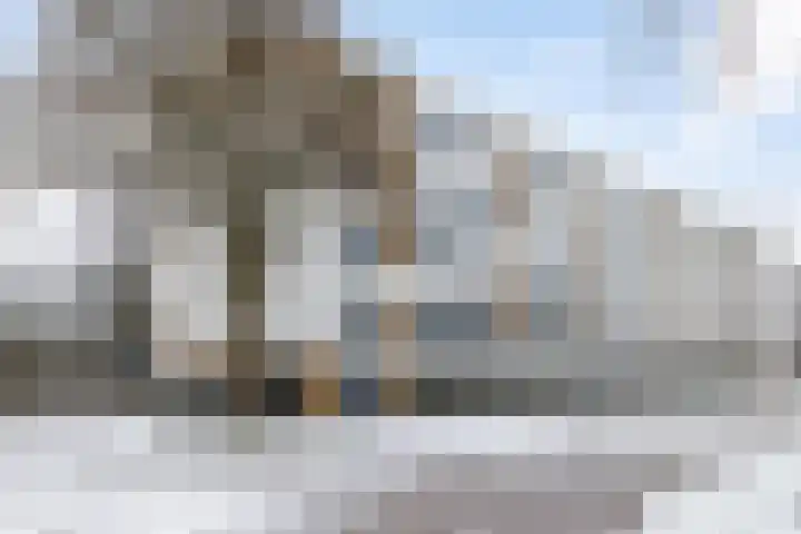 Ellen 69 Assen thumbnail 4
