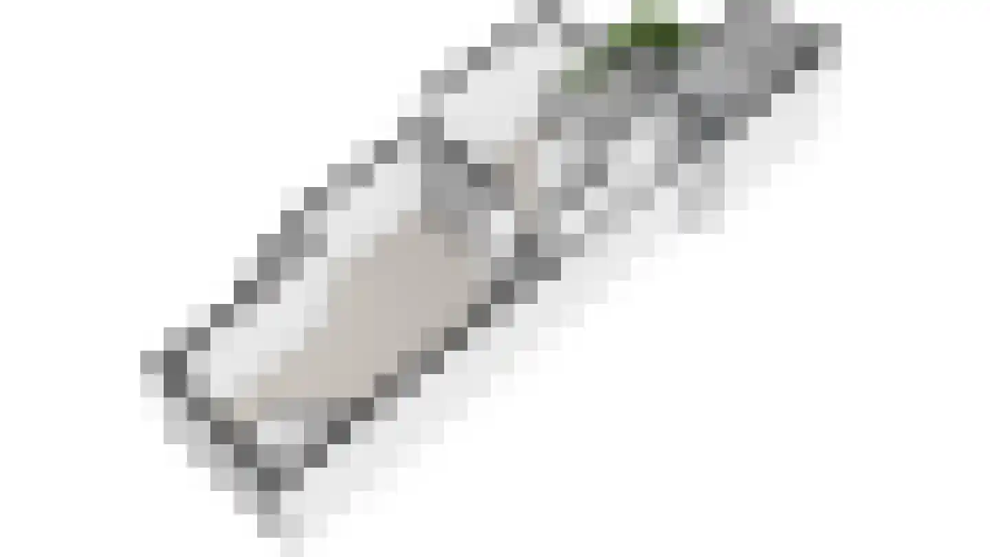 Logo Ellen Mouthaan Makelaardij