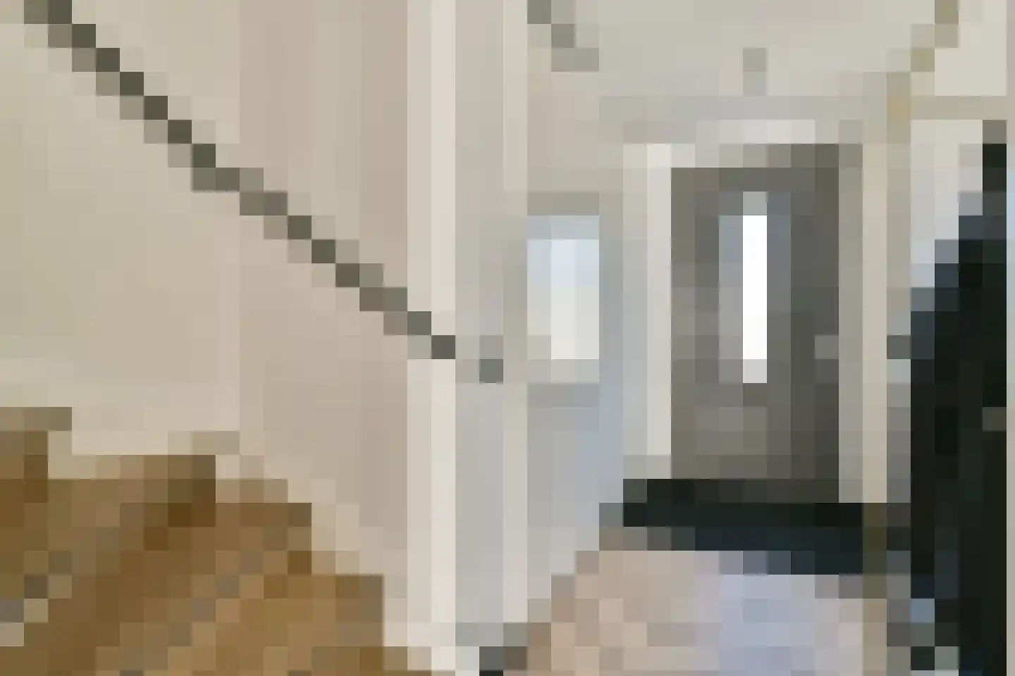 Ellen van Langenpad 2 Schiedam thumbnail 18