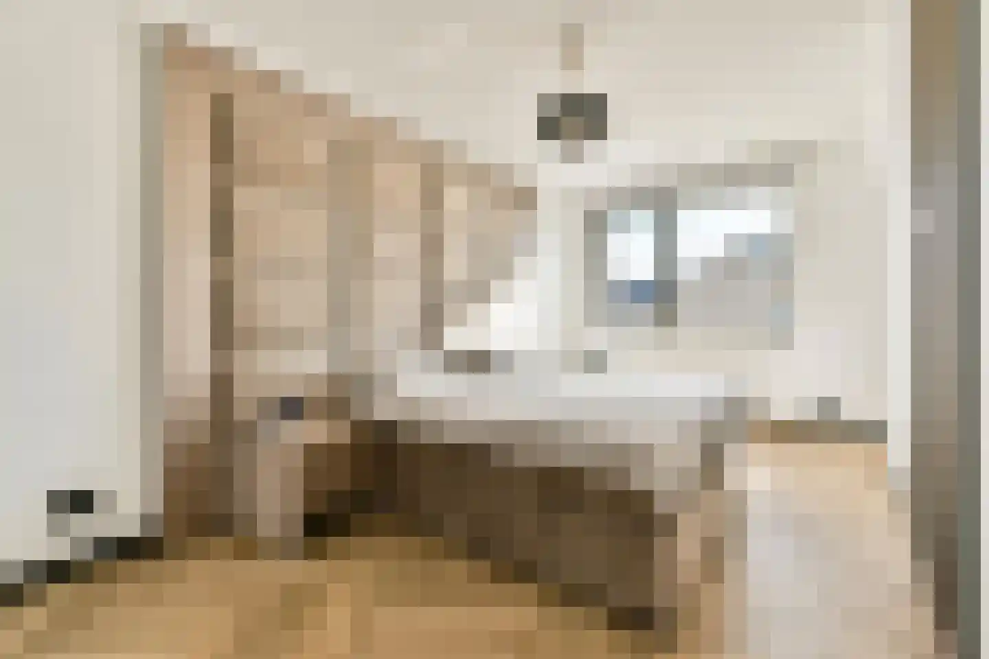 Ellen van Langenpad 2 Schiedam thumbnail 9