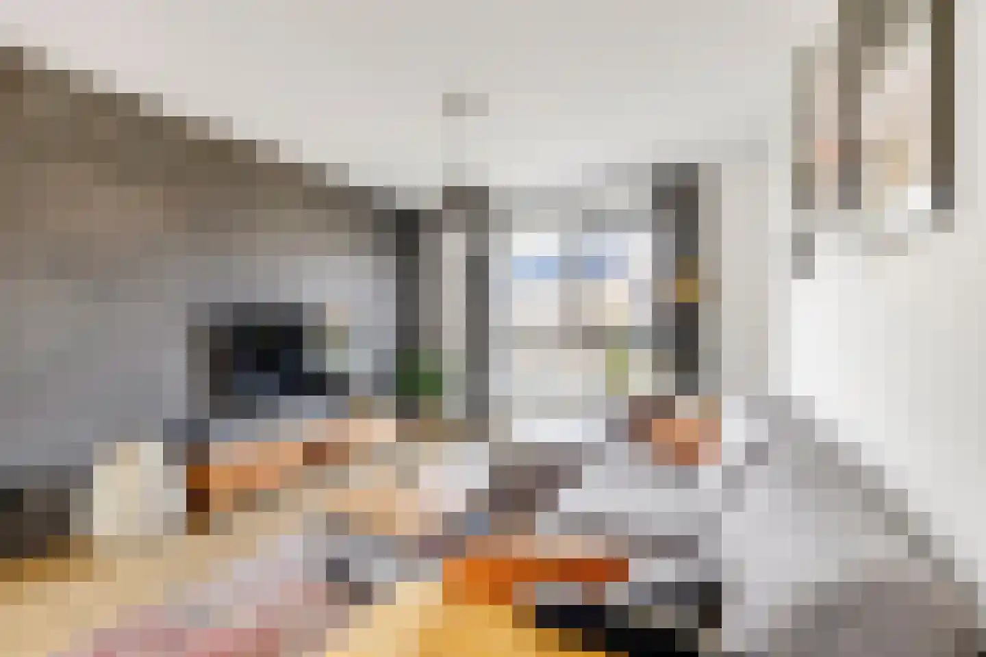 Ellen van Langenpad 28 Schiedam thumbnail 10