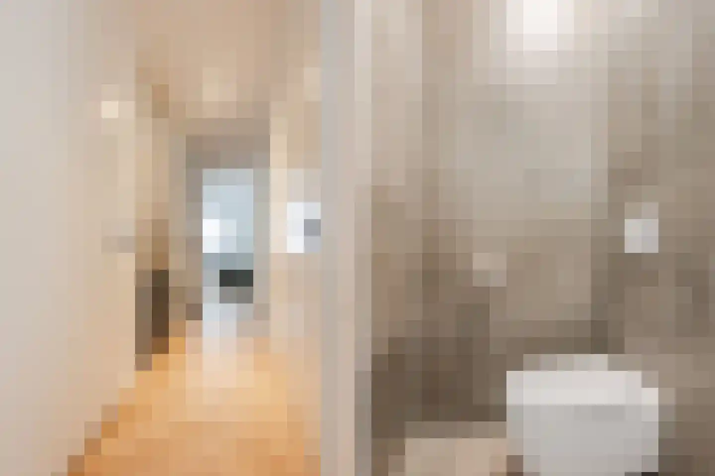 Ellen Warmondhof 17 Den Haag thumbnail 16
