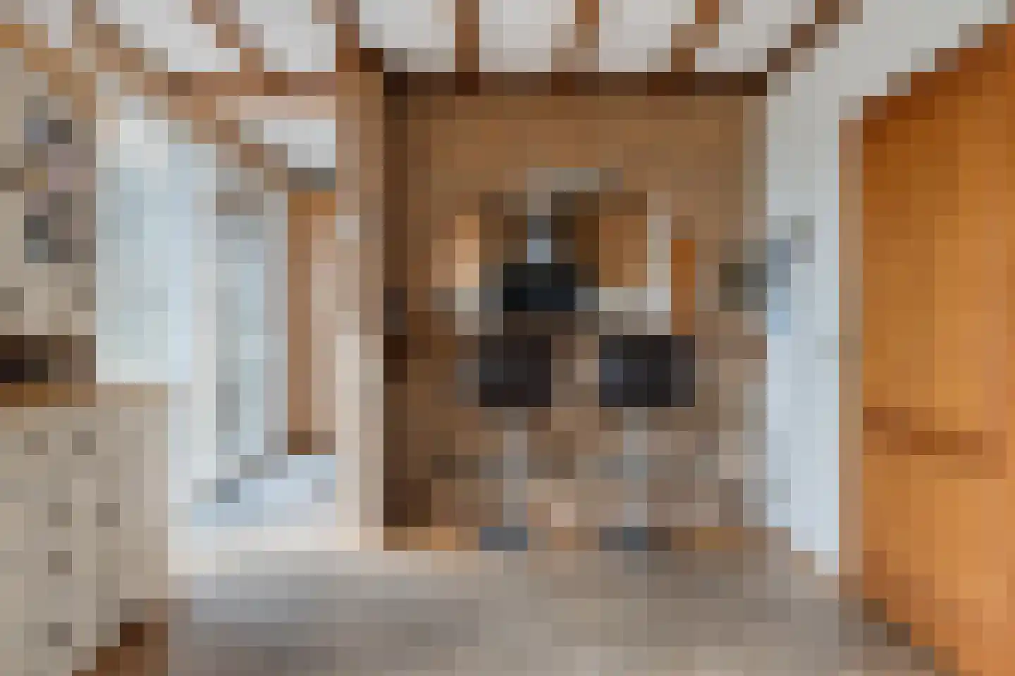 Ellenberg 36 Broekhuizen thumbnail 14