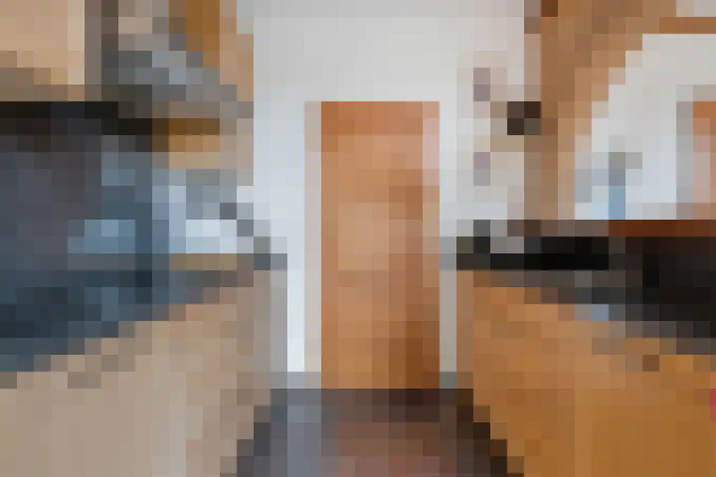 Ellenberg 36 Broekhuizen thumbnail 15