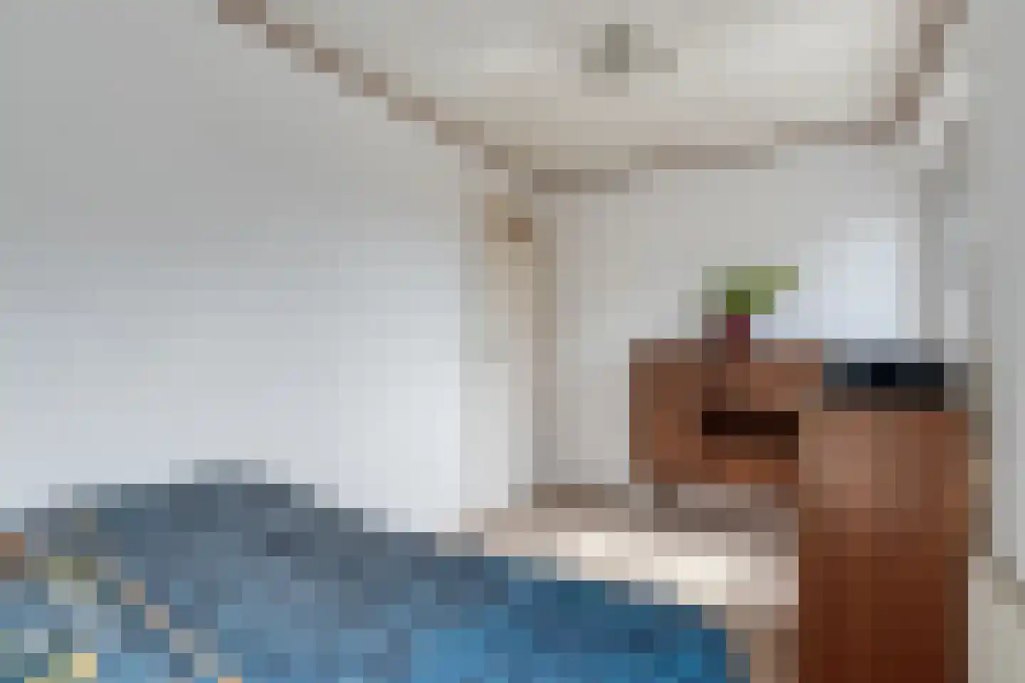 Ellenberg 36 Broekhuizen thumbnail 24