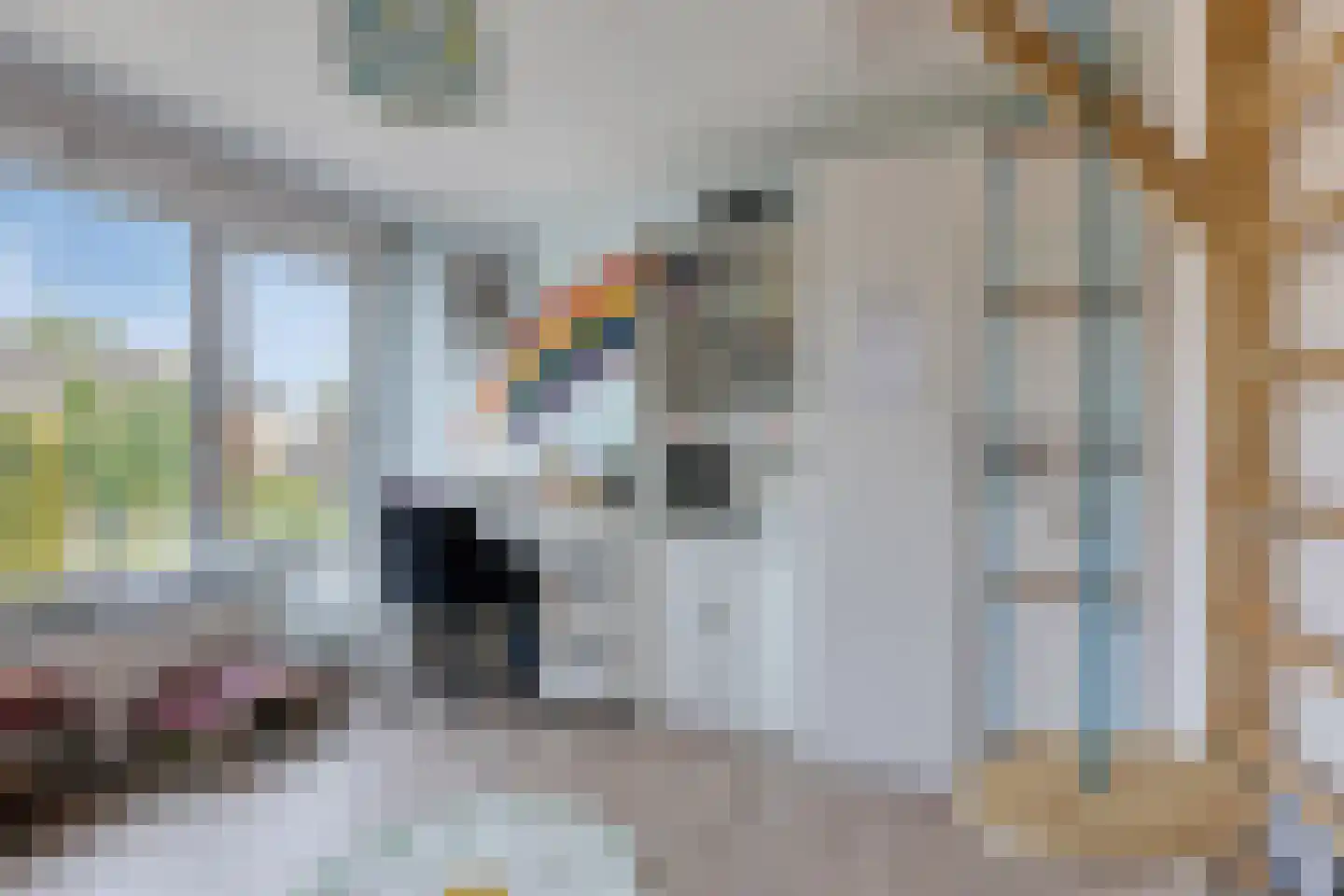 Ellenberg 36 Broekhuizen thumbnail 25