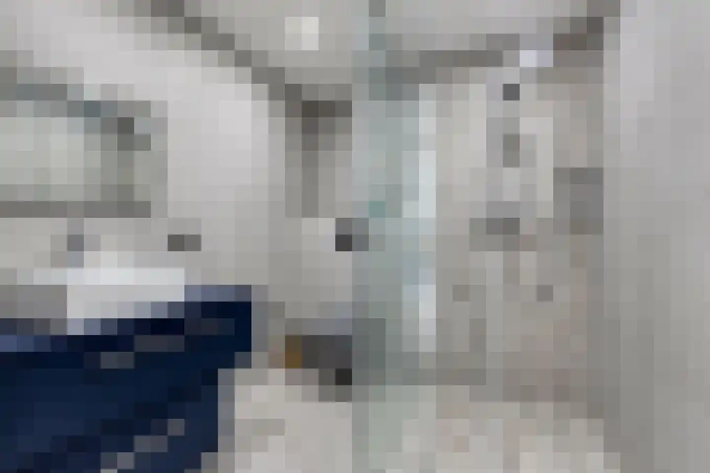 Ellenberg 36 Broekhuizen thumbnail 30