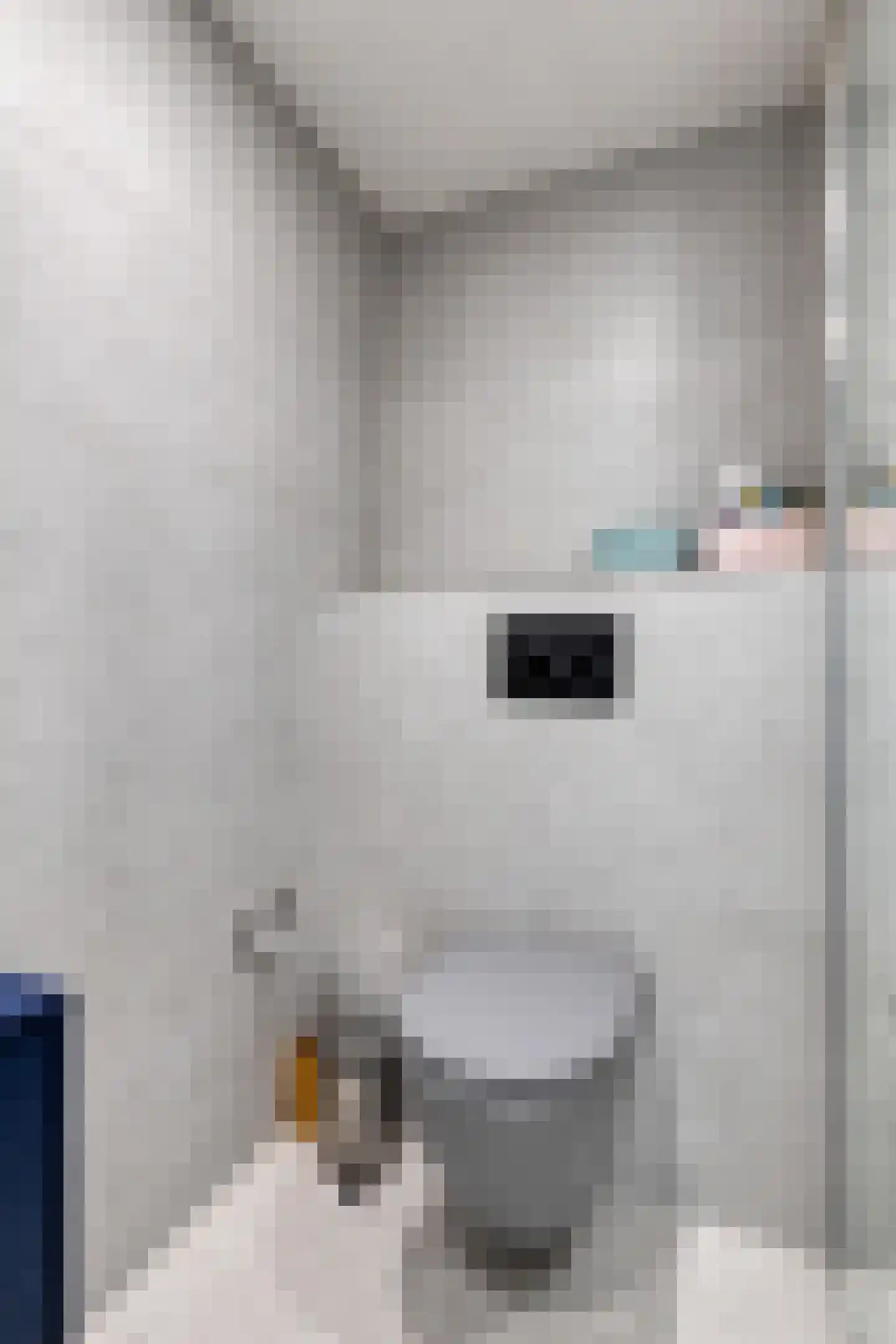 Ellenberg 36 Broekhuizen thumbnail 33