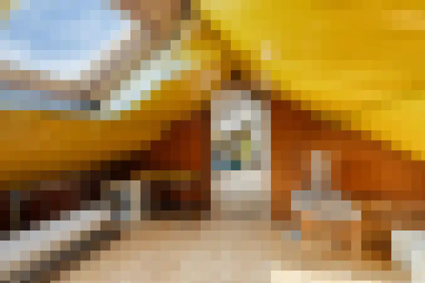 Ellenberg 36 Broekhuizen thumbnail 36