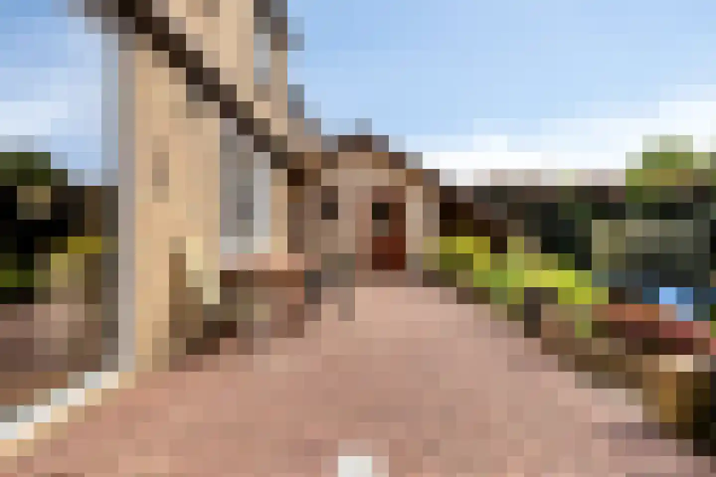 Ellenberg 36 Broekhuizen thumbnail 37