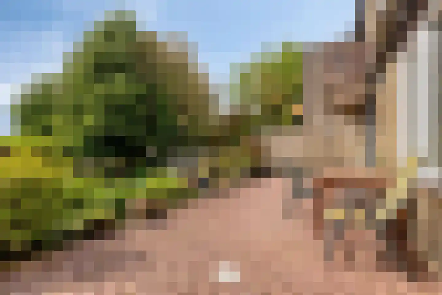 Ellenberg 36 Broekhuizen thumbnail 39