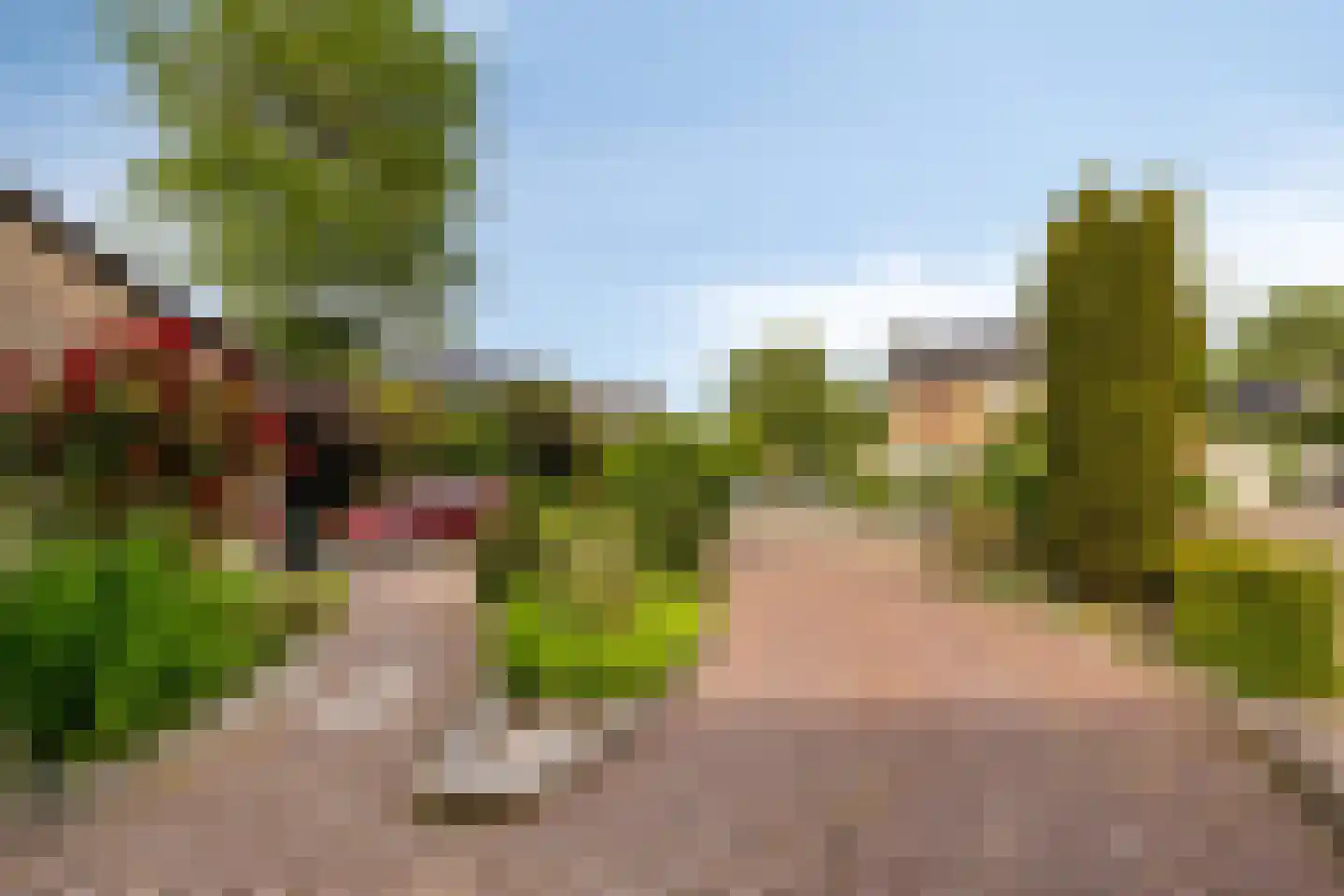 Ellenberg 36 Broekhuizen thumbnail 4