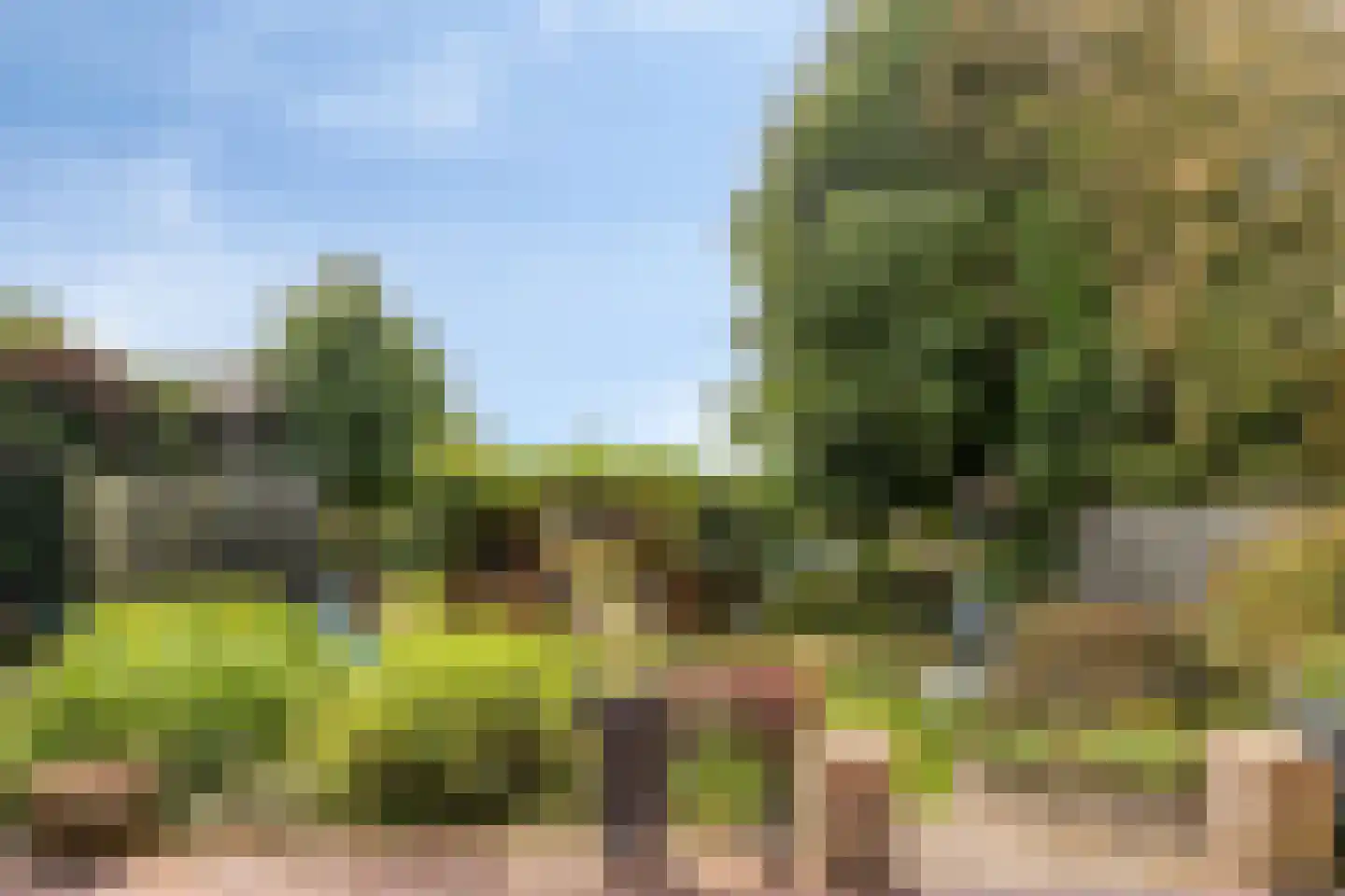 Ellenberg 36 Broekhuizen thumbnail 40