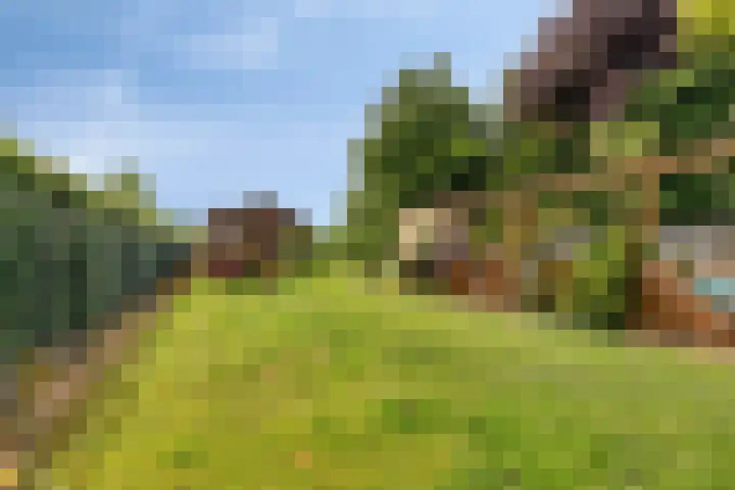 Ellenberg 36 Broekhuizen thumbnail 45