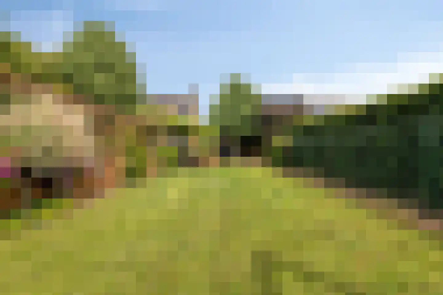 Ellenberg 36 Broekhuizen thumbnail 46