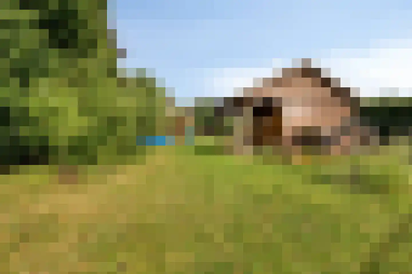 Ellenberg 36 Broekhuizen thumbnail 49