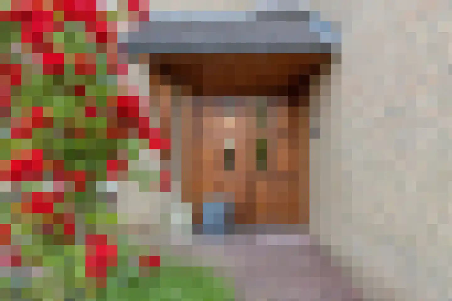 Ellenberg 36 Broekhuizen thumbnail 5