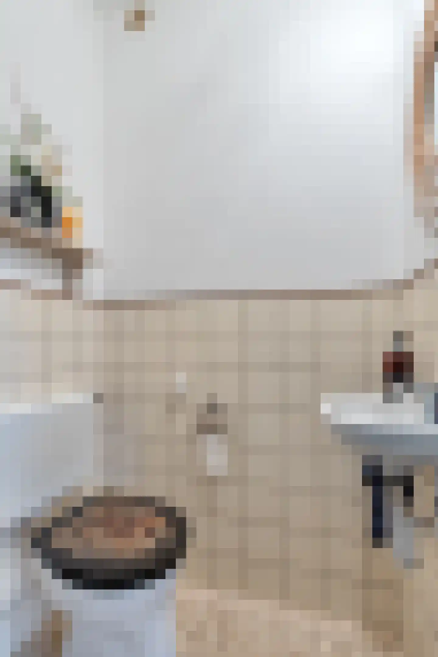Ellenberg 36 Broekhuizen thumbnail 7