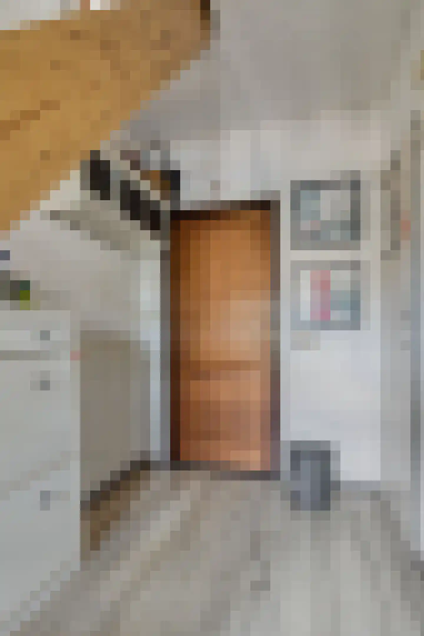 Ellenberg 36 Broekhuizen thumbnail 8