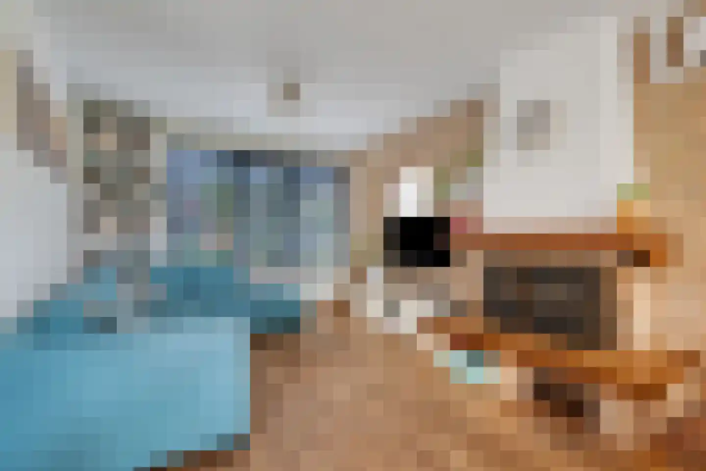Ellenberg 36 Broekhuizen thumbnail 9