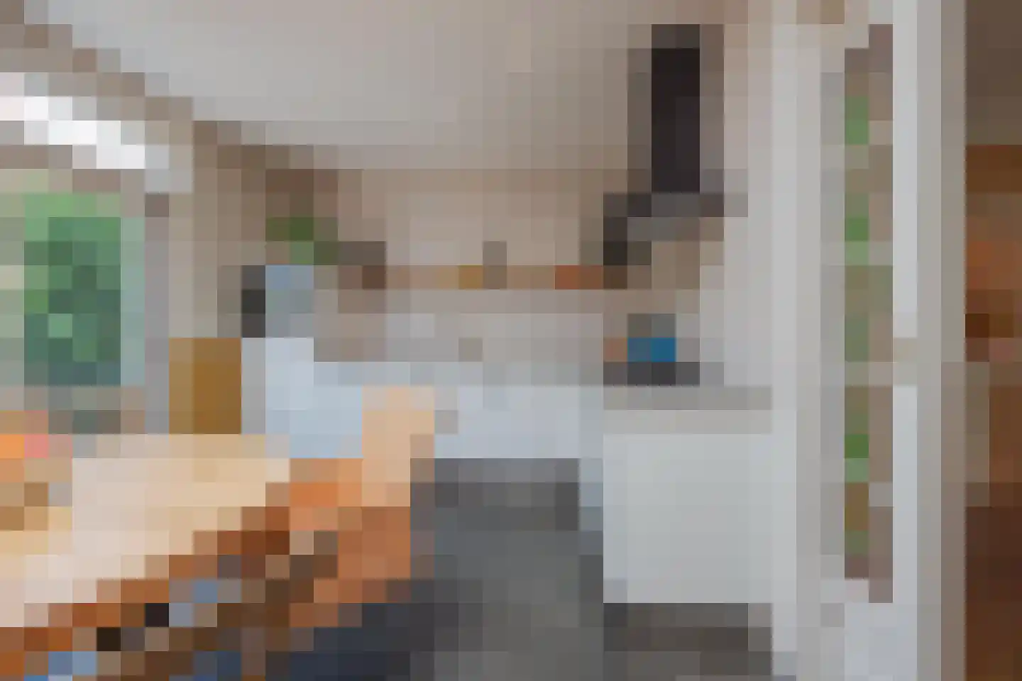 Ellenberg 43 Broekhuizen thumbnail 18