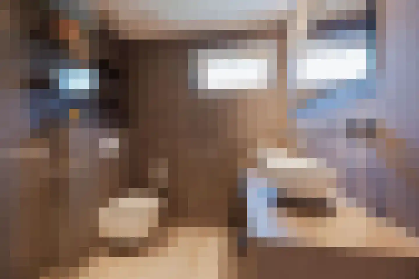 Ellenberg 43 Broekhuizen thumbnail 31