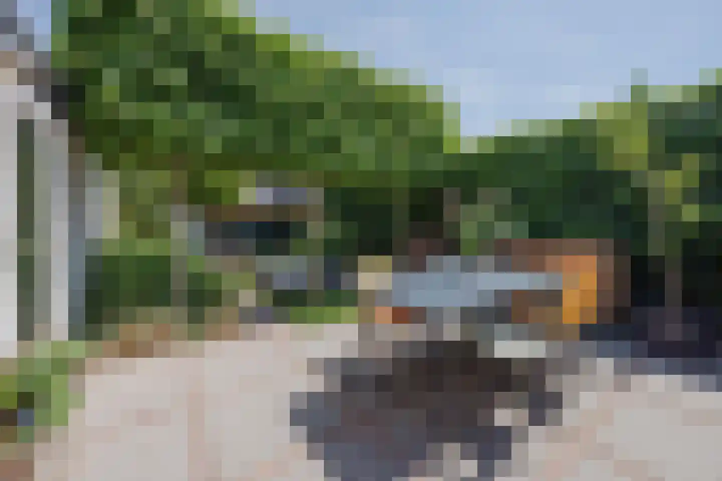 Ellenberg 43 Broekhuizen thumbnail 35