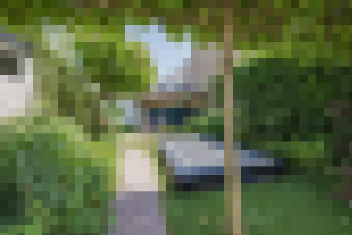 Ellenberg 43 Broekhuizen thumbnail 37