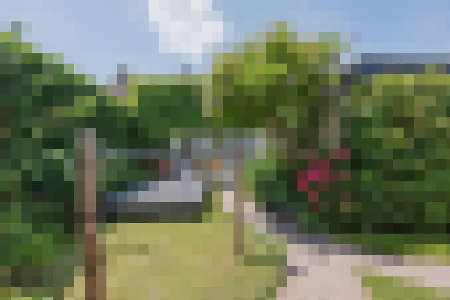 Ellenberg 43 Broekhuizen thumbnail 42