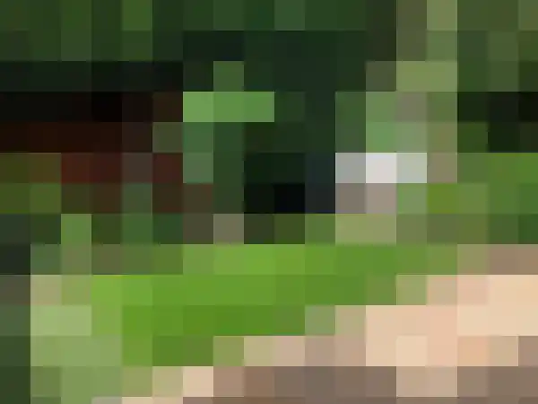 Ellensmolen 22 Groningen thumbnail 13