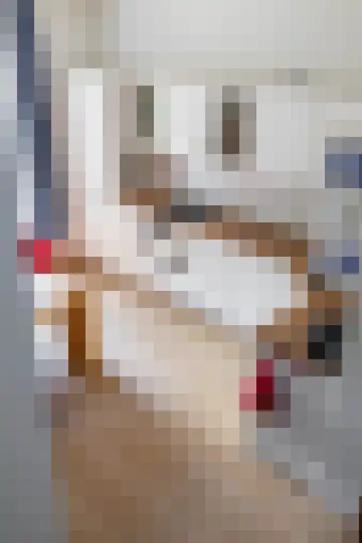 Ellensmolen 22 Groningen thumbnail 18
