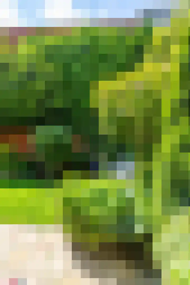 Ellensmolen 22 Groningen thumbnail 23