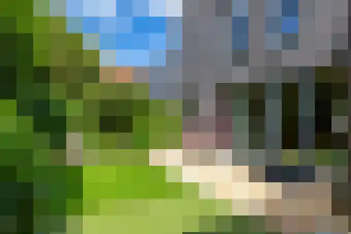 Ellensmolen 22 Groningen thumbnail 24