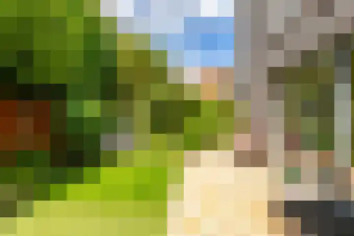 Ellensmolen 22 Groningen thumbnail 25