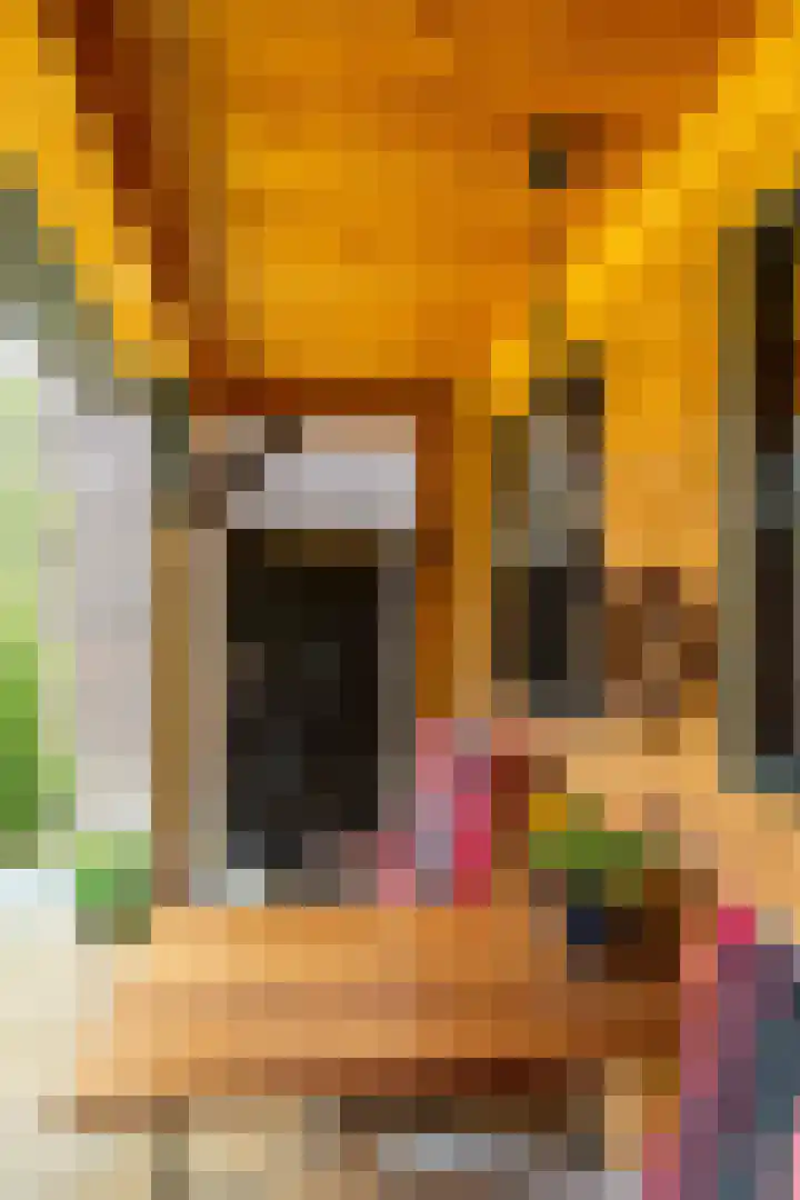 Ellensmolen 22 Groningen thumbnail 26