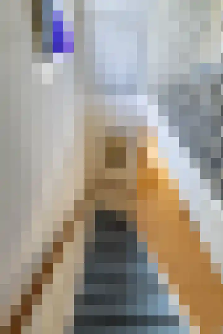 Ellensmolen 22 Groningen thumbnail 29