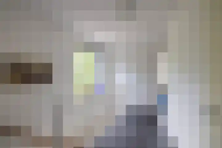Ellensmolen 22 Groningen thumbnail 30