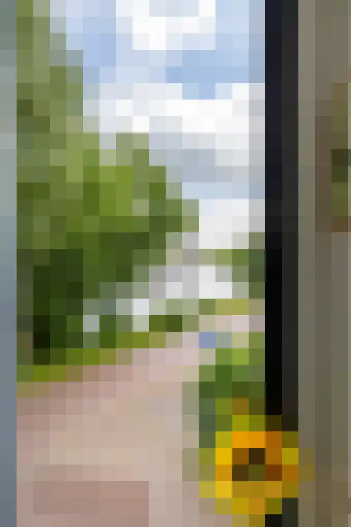 Ellensmolen 22 Groningen thumbnail 33