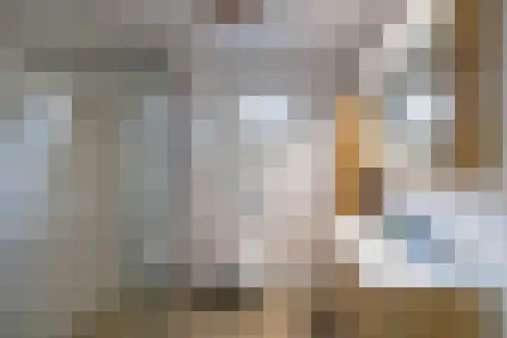 Ellensmolen 22 Groningen thumbnail 36