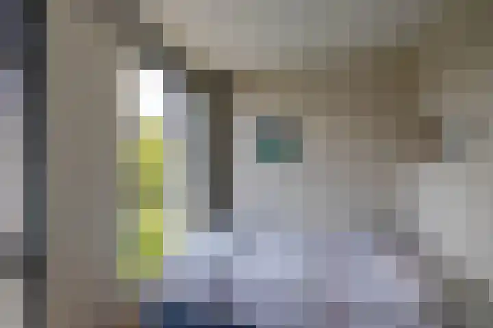 Ellensmolen 22 Groningen thumbnail 39