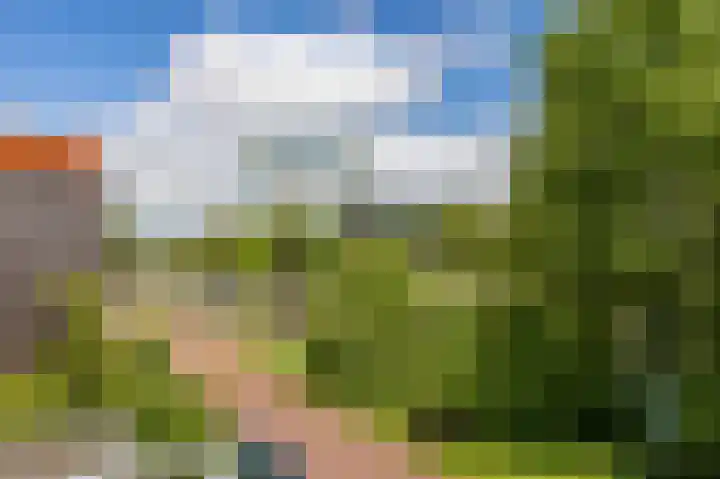 Ellensmolen 22 Groningen thumbnail 42