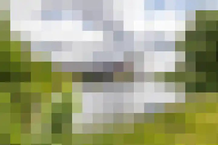 Ellensmolen 22 Groningen thumbnail 43